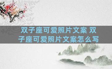 双子座可爱照片文案 双子座可爱照片文案怎么写